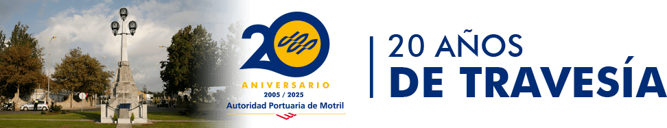 Timeline 20 aniversario